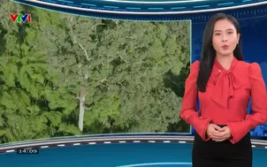 Trái đất xanh - 03/01/2025