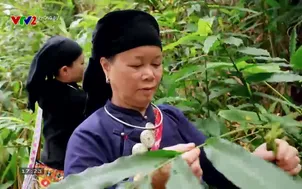 Phóng sự: Thái Nguyên - Số 16