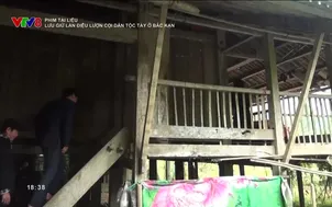 Phim tài liệu: Lưu giữ làn điệu Lượn Cọi dân tộc Tày ở Bắc Kạn