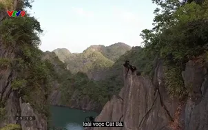 Phim tài liệu: Lằn ranh tội lỗi