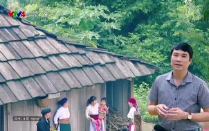 Giai điệu cuộc sống: Cánh đu hội xuân