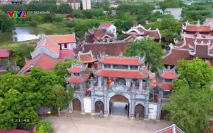 Cây táo nở hoa: Quan âm Tổng Tử