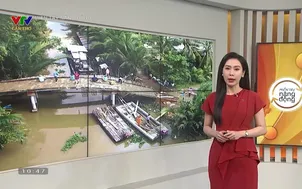 Miền Tây Năng động 2024: Kiên Giang - Số 7