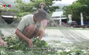 Vietnam Discovery:  Cù Lao Chàm - Vùng đất giàu văn hóa