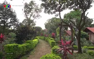 Việt Nam nguồn cội - 23/02/2025