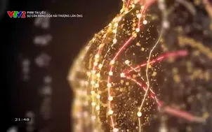 Phim tài liệu: Sự cân bằng của Lãn Ôn