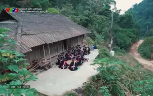 Insight into Vietnam: Hành trình nối dài bản sắc