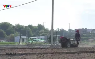 Đệ nhất mưu sinh - 01/3/2025