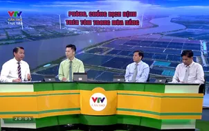 Tọa đàm: Phòng, chống dịch bệnh trên tôm trong mùa nắng