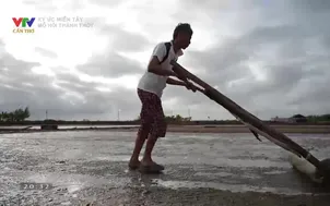 Ký ức miền Tây: Mồ hôi thánh thót