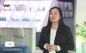 Net Zero - Gửi tương lai - 11/3/2025