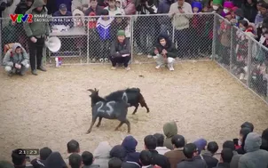 Khám phá: Cao nguyên đá Tủa Chùa - Phần 1