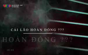 360 độ Khỏe - Đẹp:Tế bào gốc