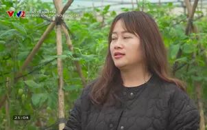 Đường tới nông trại: Xây dựng nông thôn mới ở vùng cao