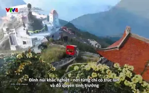Hello Vietnam - 14/3/2025