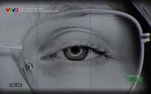 Chất lượng cuộc sống: Tầm soát đột quỵ và nhồi máu cơ tim