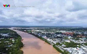 Ký sự: Bến Tre - Ký ức những bóng dừa - Tập 4