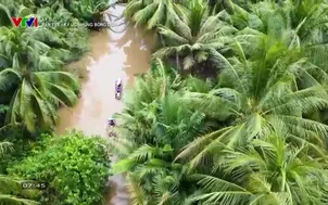 Ký sư: Bến Tre - Ký ức những bóng dừa - Tập 5