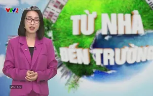 Từ nhà đến trường 2025: Số 4