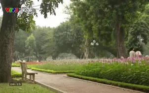 Nhật ký trên khóa Sol: Ca sỹ Bùi Hà My