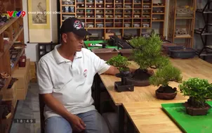 Khám phá cuộc sống - 25/3/2025