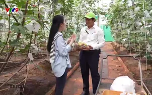 Bước chân khám phá - Số 10