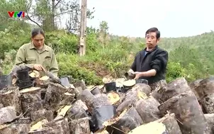 Phát huy vai trò của mặt trận: Xây dựng khu dân cư đoàn kết, ấm no, hạnh phúc