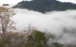 Cựu chiến binh Việt Nam: Bản lĩnh tiên phong