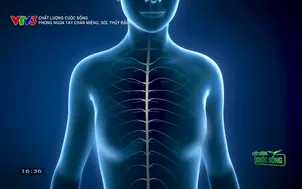 Chất lượng cuộc sống: Phòng ngừa tay chân miệng, sởi, thủy đậu