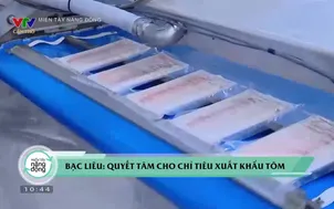 Miền Tây Năng động 2025: Bạc Liêu - Số 5