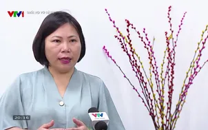 Quốc hội với cử tri - 31/3/2025