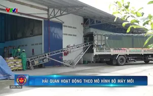 Hải quan Việt Nam - 01/4/2025