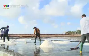 Thương nhớ miền Tây: Về miền di sản Bạc Liêu