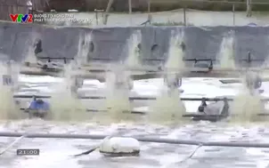 Đường tới nông trại: Phát triển mô hình tổ hợp tác