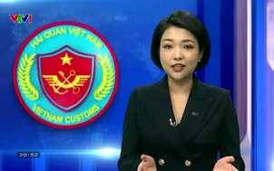 Hải quan Việt Nam - 08/4/2025
