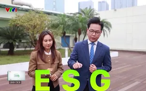 Net Zero - Gửi tương lai - 08/4/2025