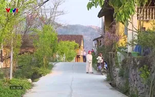 Truyền hình Công thương: Thực hiện Hợp phần 3 Dự án SwissTrade