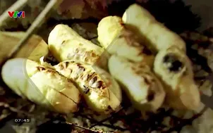 Ký sự: Tình quê trong lá