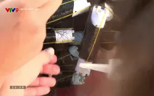 360 độ Khỏe - Đẹp: Tóc - Những cảnh báo về sức khỏe