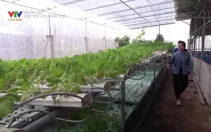 Phóng sự: Sức trẻ nơi phum sóc