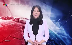 Truyền hình Công thương: Tìm đầu ra cho sản phẩm cây có múi