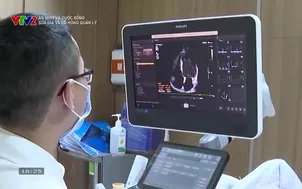 An ninh và Cuộc sống: Sữa giả và lỗ hổng quản lý