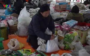 Hành trình hy vọng: Đào Thị Thư