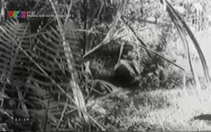 Ký sự: Trường Sơn huyền thoại - Tập 4