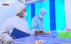 Nông nghiệp xanh: Hiện đại và xanh hóa trong sản xuất
