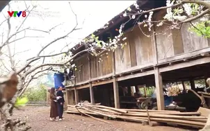 Quyến rũ Việt Nam: Mùa hoa Chiềng Cọ