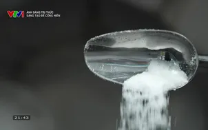 Ánh sáng tri thức: Sáng tạo để cống hiến