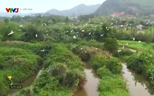 S - Việt Nam - 19/4/2025