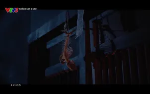 Khách sạn 5 sao - 20/4/2025