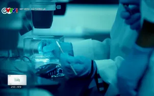 Net Zero - Gửi tương lai - 22/4/2025